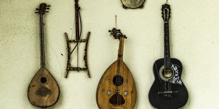 Various stringed instruments.