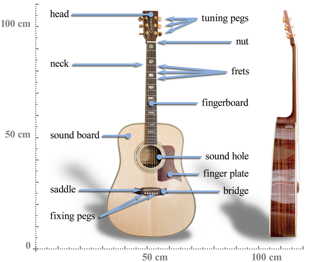 Diagram of an acoustic guitar.